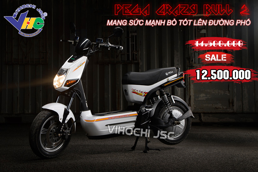 Cập nhật hơn 88 xe điện hkbike crazy bull tuyệt vời nhất 42 Tìm hiểu 88 xe điện pega crazy bull siêu đỉnh daotaoneceduvn